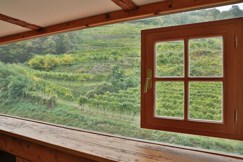 Apartement Schlaf Gut - Mitten In Der Wachau Apartment Weissenkirchen in der Wachau
